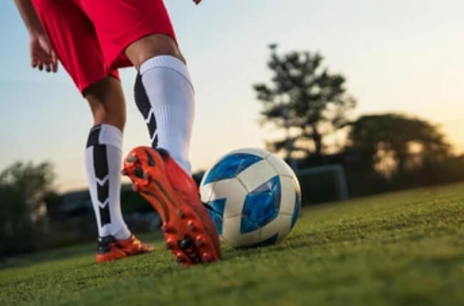 九游(中国)官方网站-九游体育app下载